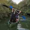 Image of On the Water