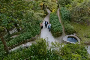 Tour image of Sintra, Pena Palace and Quinta da Regaleira from Lisbon