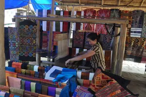 Tour image of Full-Day Luang Prabang Highlights Tour Including Kuangsi Waterfall
