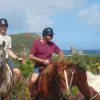 Image of Pack Animal Tours