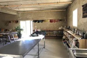 Tour image of Private Introduction to plant color in Forcalquier in Provence