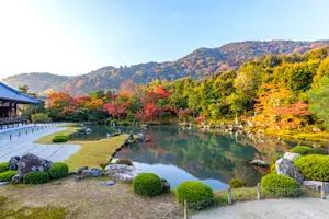 Tour image of Kyoto: Arashiyama Bamboo, Temple, Matcha, Monkeys & secret spots