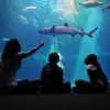 Image of Nature Parks