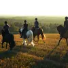 Image of Horseback Riding