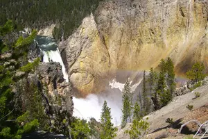 Tour image of 4-Day Small Group Tour: Yellowstone and Tetons Camping from Salt Lake City