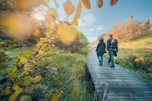 Tour image of The Golden Circle Guided Bus Tour from Reykjavik