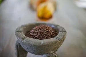Tour image of La Fortuna Eden Chocolate Tour