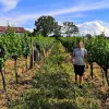 Image of Hiking Tours