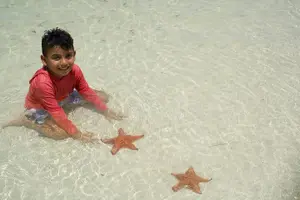 Tour image of StingrayCity ,Coral Garden & Starfish Tour.