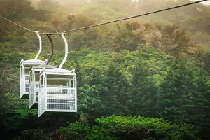 Tour image of Monteverde Sky Tram & Hanging Bridges Cloud Forest Tour from San Jose
