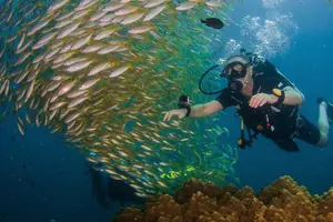 Tour image of Fun Diving Safari Day Trip From Koh Lanta - Certified Divers
