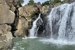 Tour image of El Yunque Rainforest Hike and Luquillo Beach Tour