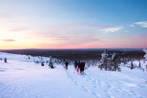 Tour image of Levi: Snowshoeing adventure in the National Park