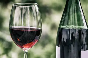 Tour image of Long Island Wine Tour North Fork Sights Bites Flights Half Day PM