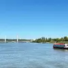 Image of Sightseeing Cruises