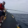 Image of Fishing Charters