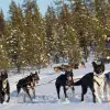 Image of Winter Sports