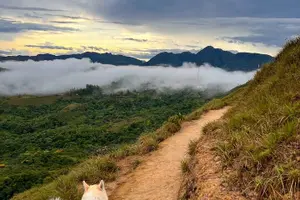 Tour image of El Valle de Antón Off-Road UTV Adventure to Cerro La Silla