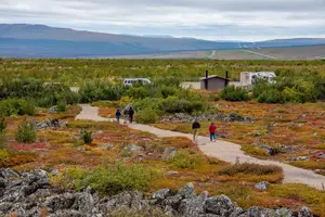 Tour image of Original Arctic Circle Drive from Fairbanks
