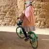 Image of Mountain Bike Tours