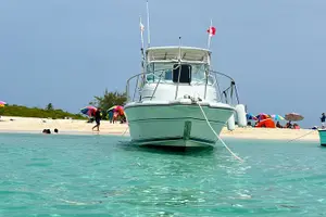Tour image of Full Charter All Inclusive for Icacos and Palomino