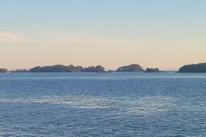 Tour image of Best Whale Watching and Wildlife Shore Excursion in Sitka