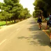 Image of Bike Rentals