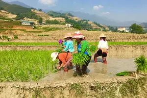 Image of Vietnam