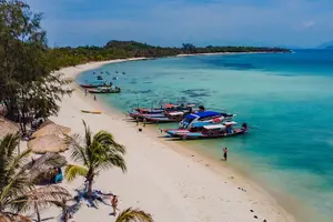 Tour image of Pink Dolphin and Pig Island Snorkeling Tour from Koh Samui