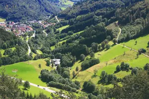 Tour image of Germany Freiburg & Black Forest Private Day Trip from Strasbourg