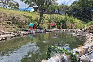 Tour image of Daily Pass to Eco Park of Cerro la Cruz in Boquete