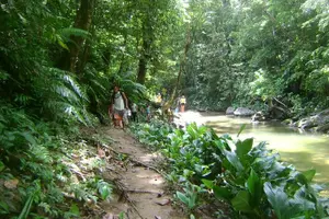 Tour image of Trinidad Rainforest Hike to Waterfall