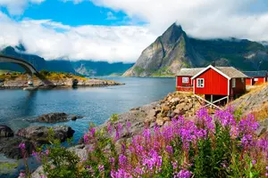 Tour image of South Lofoten Top Highlights Photo Tour (Reine)