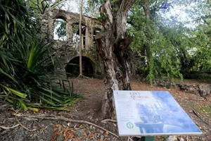 Tour image of Pigeon Island Excursion