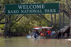 Tour image of Sarawak’s Bako National Park: Untouched Jungle & Wildlife Tour