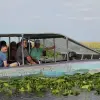 Image of Nature and Wildlife Tours
