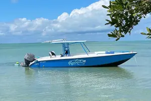 Tour image of San Pedro and Caye Caulker Hop-On Hop-off Private Tour