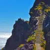 Image of Nature Walks