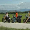 Image of Plantation Tours