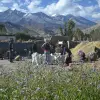 Image of Wildlife Encounters