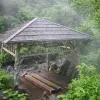 Image of Traditional Wellness