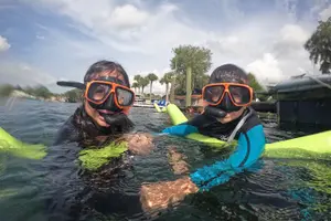 Tour image of Small Group Manatee Swim Tour With Free Photos