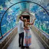 Image of Aquariums