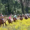 Image of Pack Animal Tours
