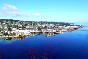 Tour image of Monterey Bay Kayak Rental Two Hours: Otters, Seals and Sea Lions
