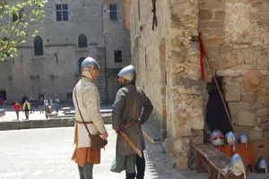Tour image of Private Conference Tour: City , Castle and Walls