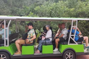 Tour image of My Son Sanctuary and cruise trip from Hoi An/ Da Nang