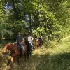 Image of Horseback Riding