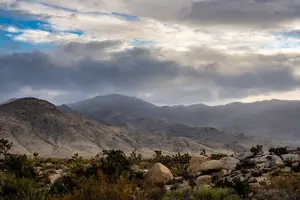 Tour image of Joshua Tree National Park Self-Guided Driving Audio Tour