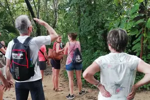 Tour image of Cahuita National Park